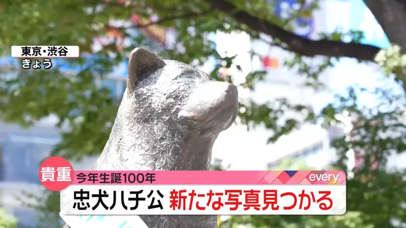 日本最有名的狗狗《忠犬八公》今年100歲生日,澀谷站前的八公像大家有去看過嗎? | 宅宅新聞