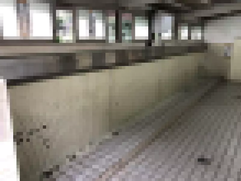「東京のトピックメンズウェイクインラウ」有名な観光客の場所には、そのようなトイレがあります。若い人たちは皆、彼らがそれを見たことがないと言った|