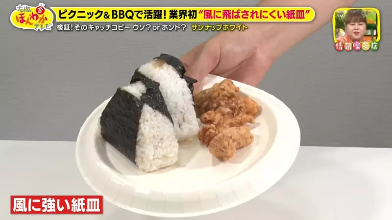 《日本進化型紙盤子》不怕風吹而且超堅固 今年中秋烤肉就用這個了 | 宅宅新聞